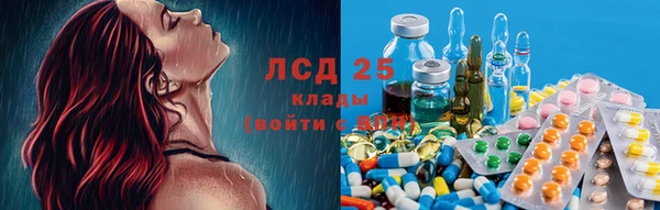 гашик Вязники