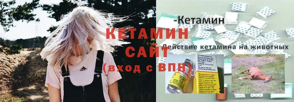 гашик Вязники